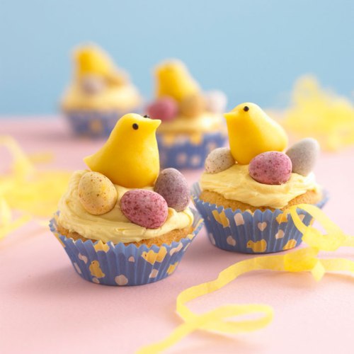 easter-bird nest bird egg cupcakes, easter, cupcakes, easter cupcakes, food, cupcake, dessert, easter eggs, purple, yellow bird