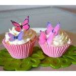 edible butterflies cake and cupcake toppers decoration